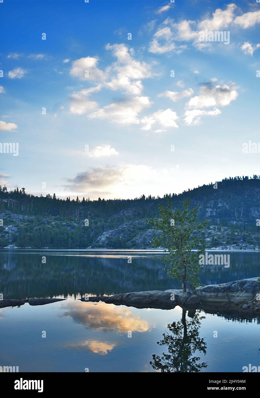 A vertical shot of green hills with trees reflecting on lake under dark ...