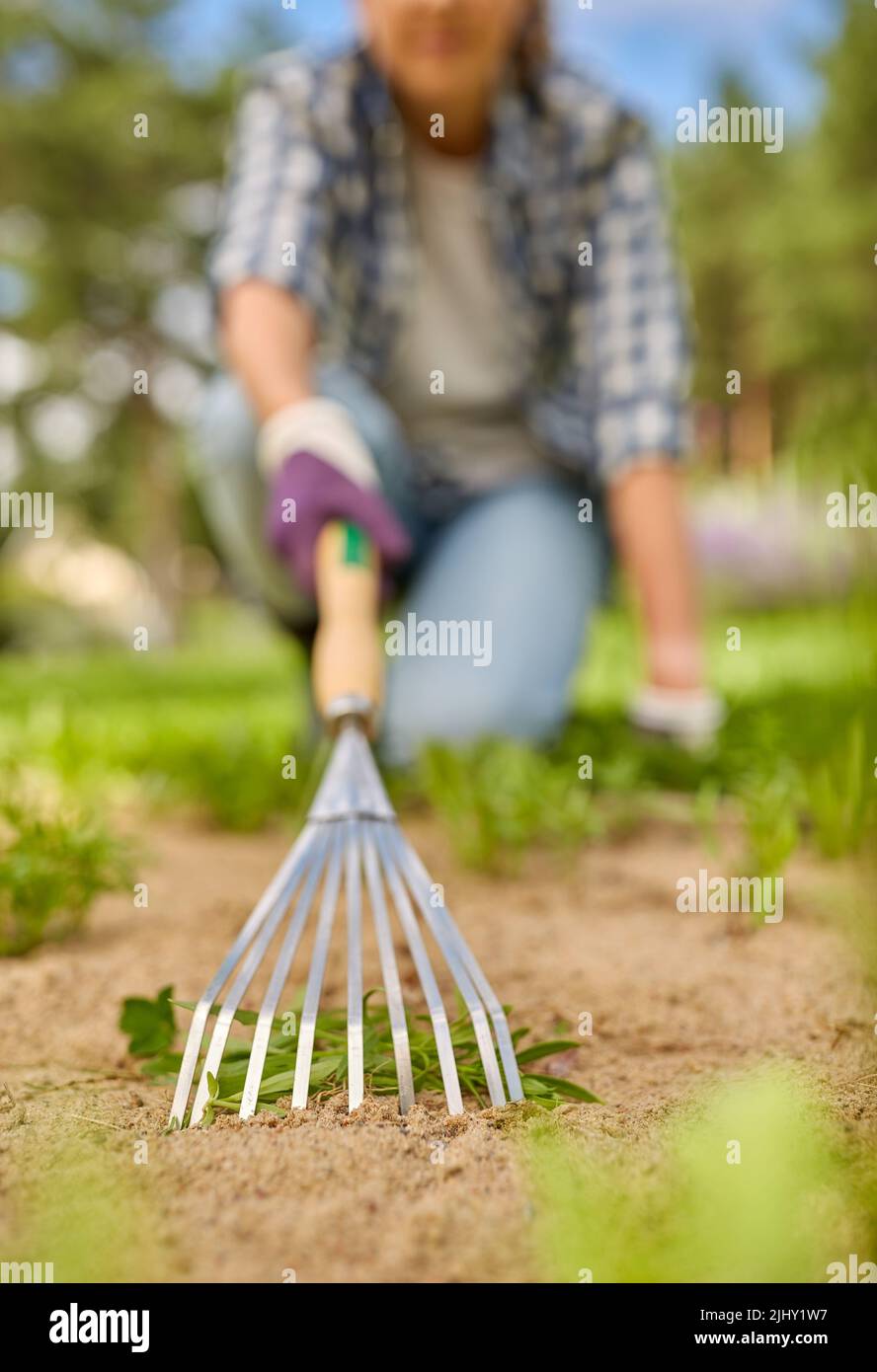 woman weeding flowerbed with rake at summer garden Stock Photo - Alamy