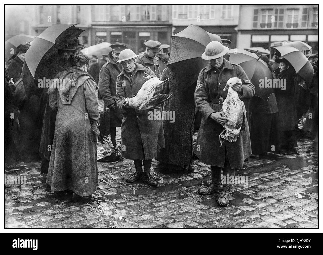 WW1 Christmas on the Western Front, 1914-1918 British troops purchasing geese, for their group Christmas dinner, in the marketplace at Bailleul, France December 1916. DateDecember 1916 (First World War) Stock Photo