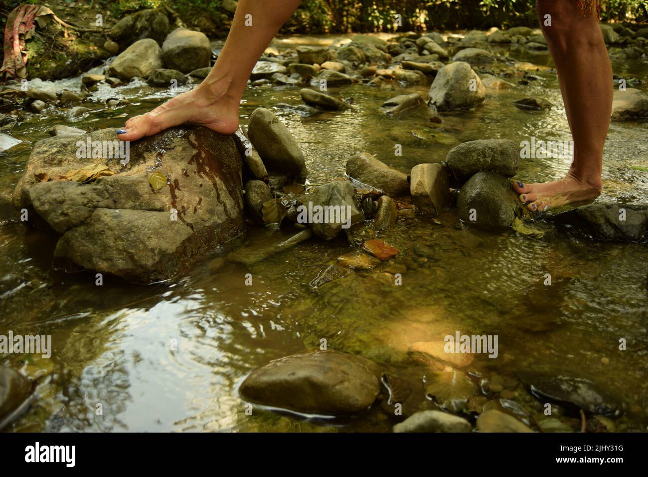 A barefoot woman taking a step towards a rock while walking in a clean brook water, with rocks and stones around her feet Stock Photo