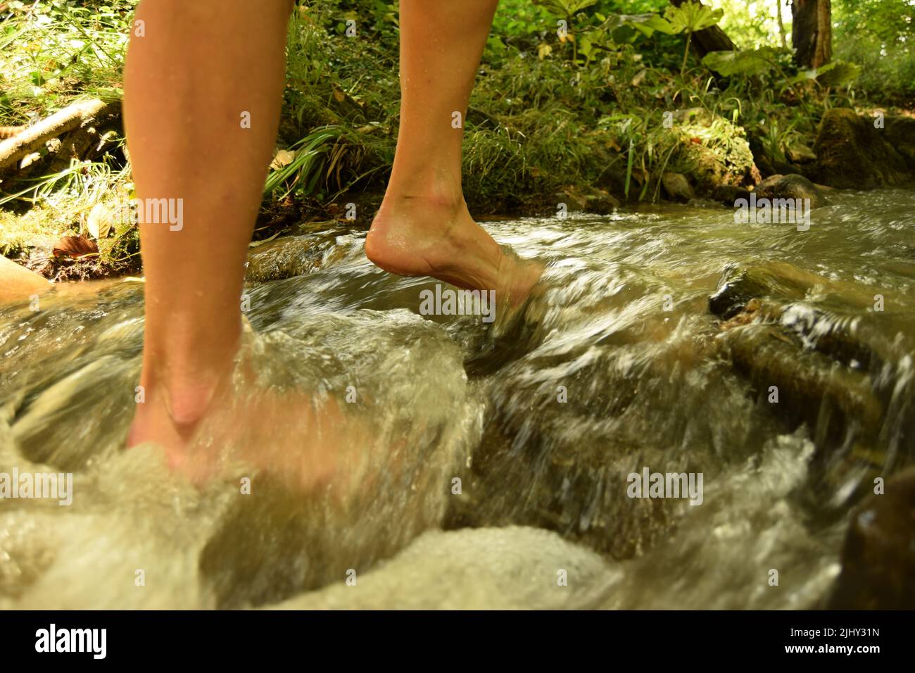 Woman legs closeup, walking barefoot in a clean bubbling stream, during a sunny day Stock Photo
