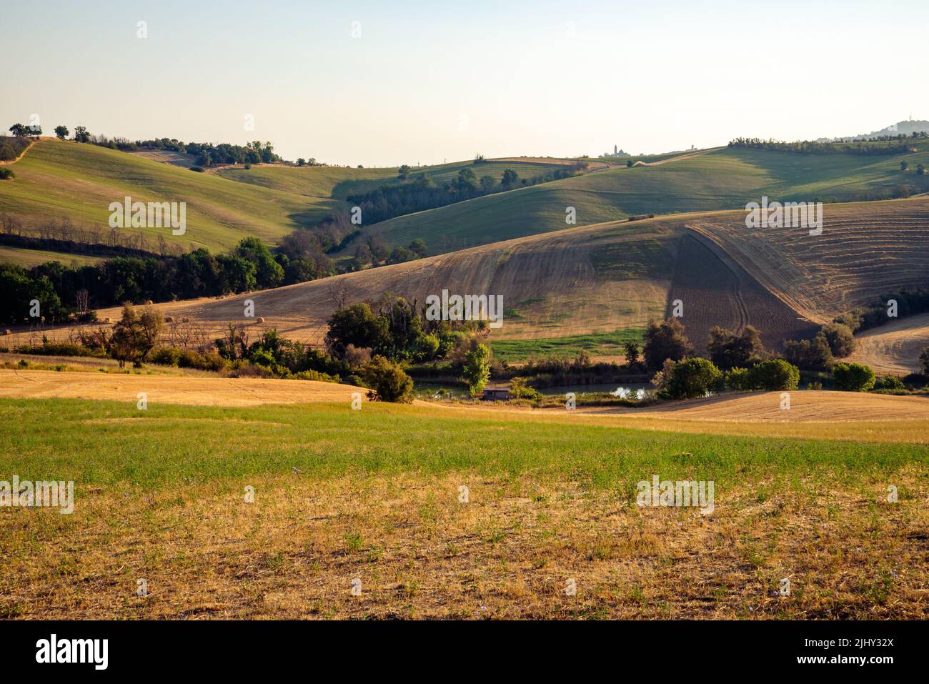 View of the fields near Tavullia in the Pesaro and Urbino province in the Marche region of Italy, at morning after the sunrise Stock Photo