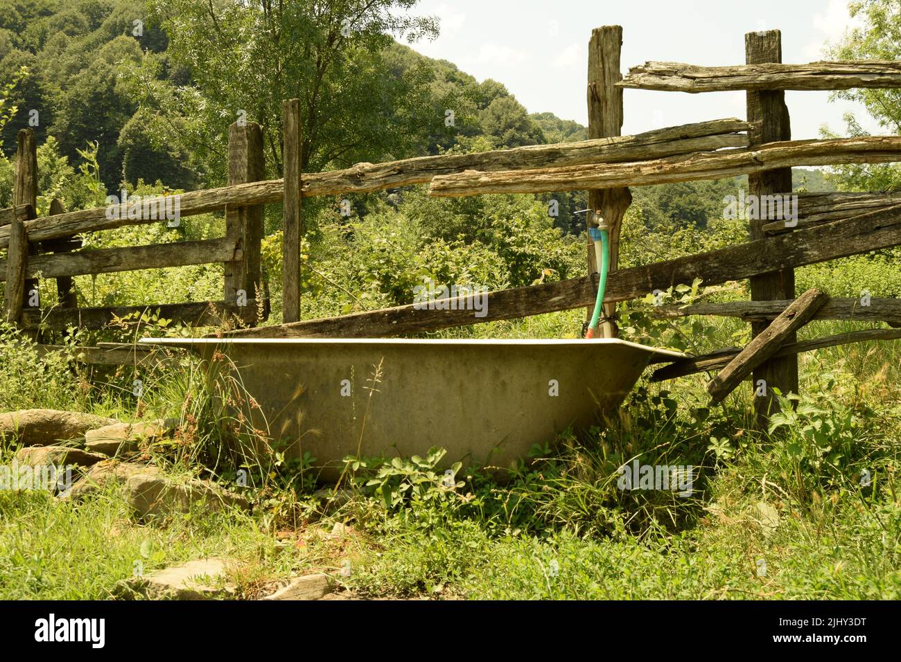 An old bathub outdoors, recycled as a drinking trough for cattle in the countryside, in a beautiful natural landscape of greenery, on a sunny day Stock Photo