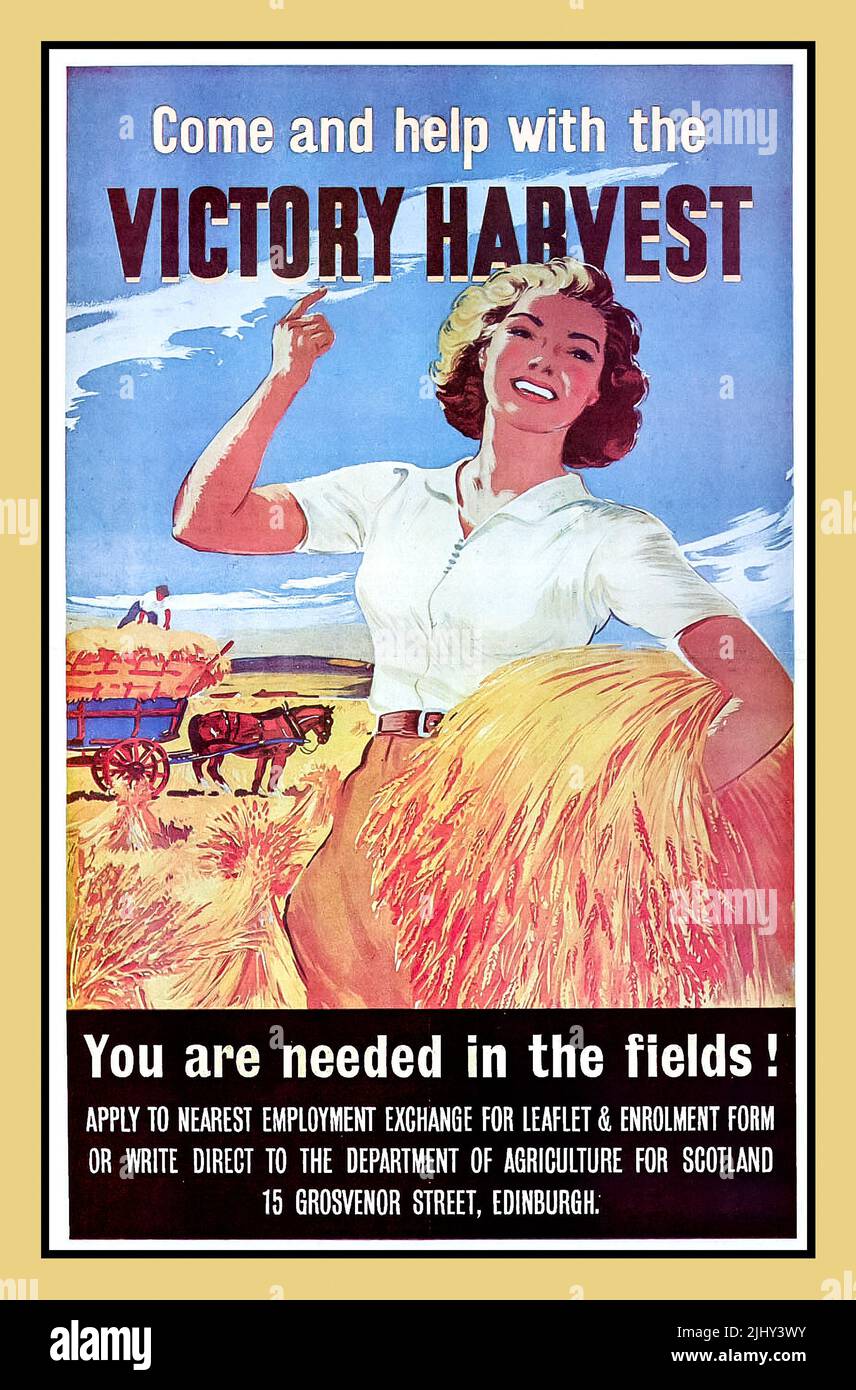 WW2 WOMENS LAND ARMY WLA 1942 UK Women's Land Army  propaganda recruitment poster with smiling fit blonde woman holding armful of harvested wheat,  'Come and help with the VICTORY HARVEST'  'You are needed in the fields!' Department of Agriculture for Scotland. 1940s World War II Second World War WW2 Stock Photo