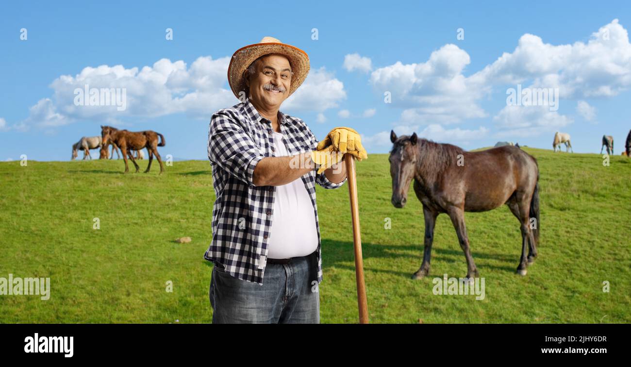 Mature farmer with a straw hat leaning on a wooden stick on a field with horses Stock Photo