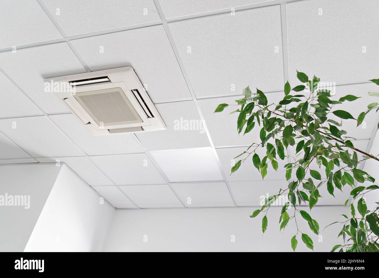 Cassette air conditioner on ceiling in modern light office or apartment  with green ficus plant leaves. Indoor air quality and clean filters concept  Stock Photo - Alamy
