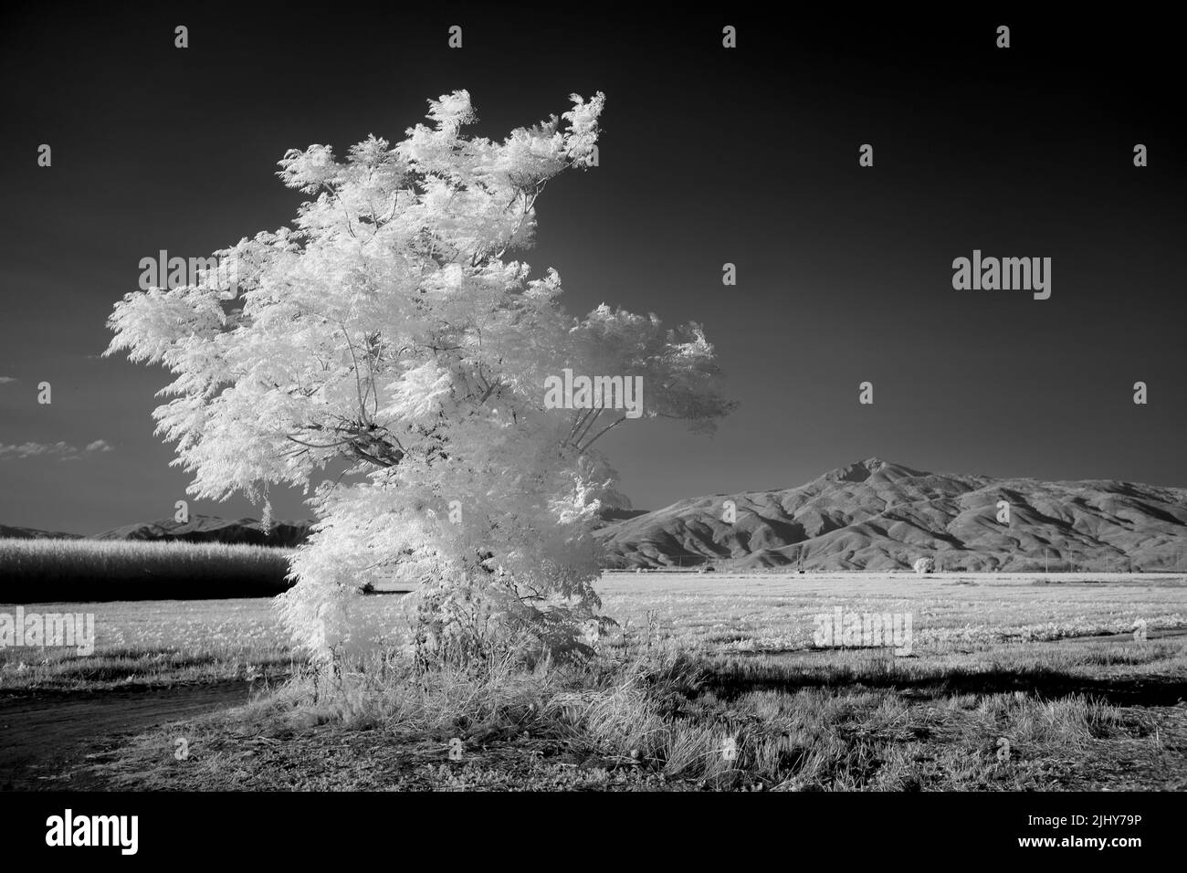 Black and white rural landscape in the countrysite of Thessaly ,Larisa ,Greece Stock Photo