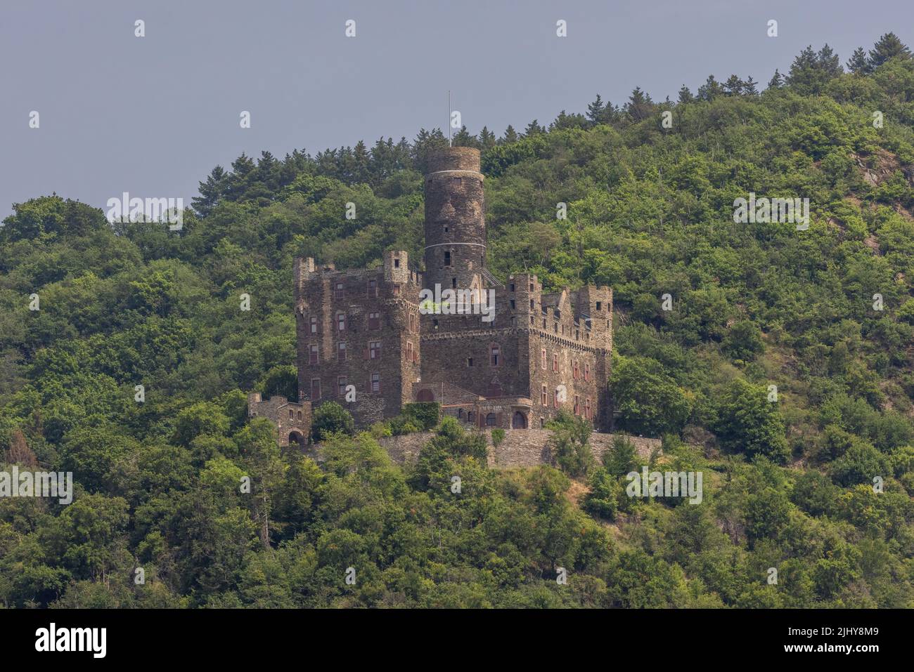 Maus Castle, Wellmich, Rhineland-Palatinate, Germany Stock Photo