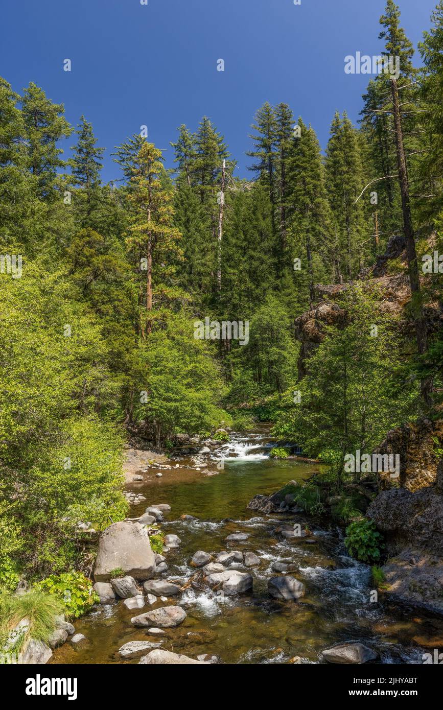 Deer Creek where it crosses the Deer Creek Highway, CA 32), Tehama