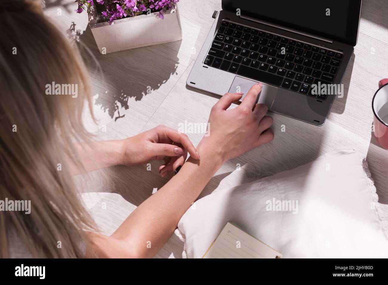 Modern blogger workplace. Lady typing on laptop Stock Photo - Alamy
