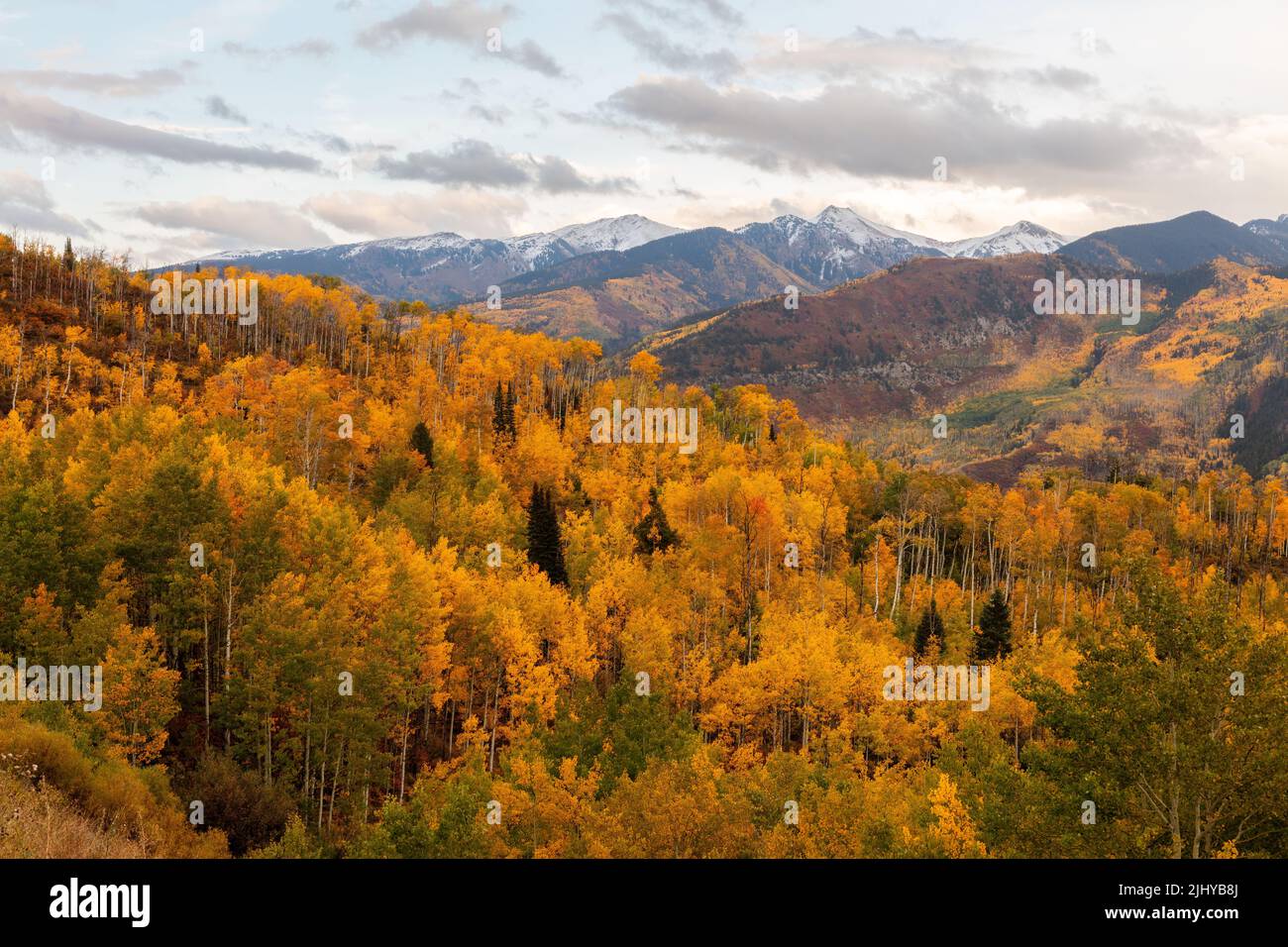 Aspen and the Elk Mountains from McClure Pass, White River National Forest, Colorado Stock Photo