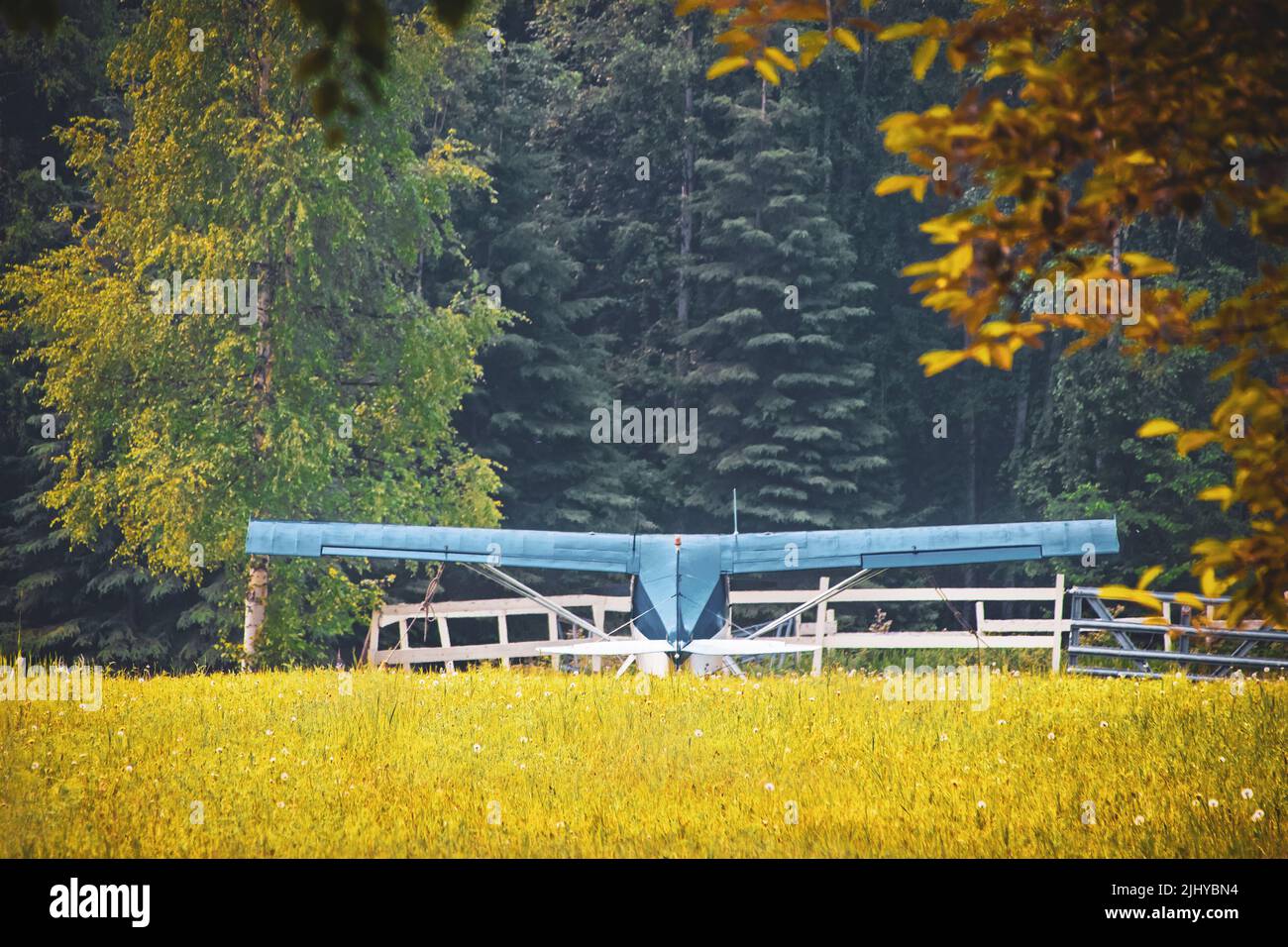 Blue small airplane parked in field near white wooden fence with blurred background of evergreen forest Stock Photo