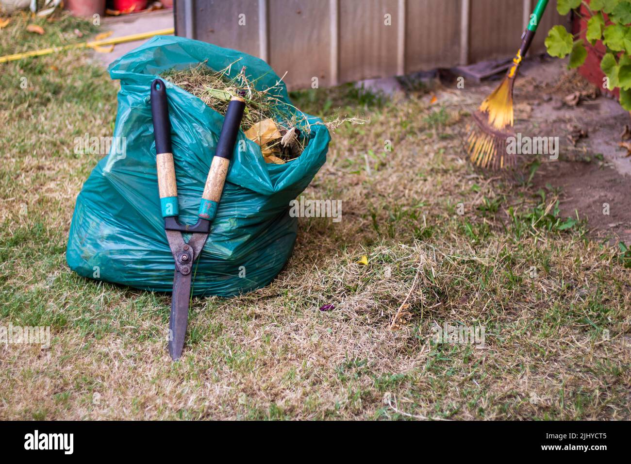 Home gardening. Grass shears leaning on a plastic bag full of grass. Stock Photo
