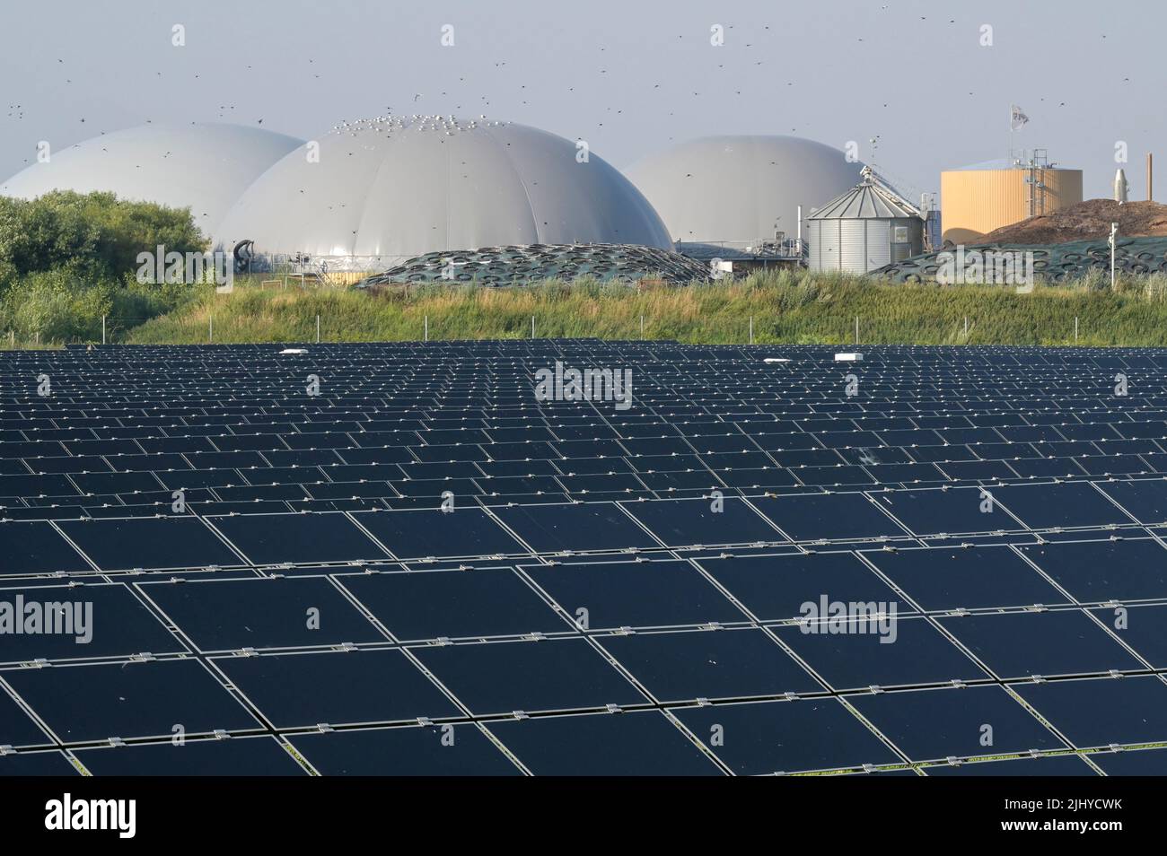GERMANY, Biogas plant and Photovoltaic solar field / DEUTSCHLAND, Schleswig-Holstein, Reußenkoog, GP Joule Biogasanlage und Photovoltaik Anlage Stock Photo