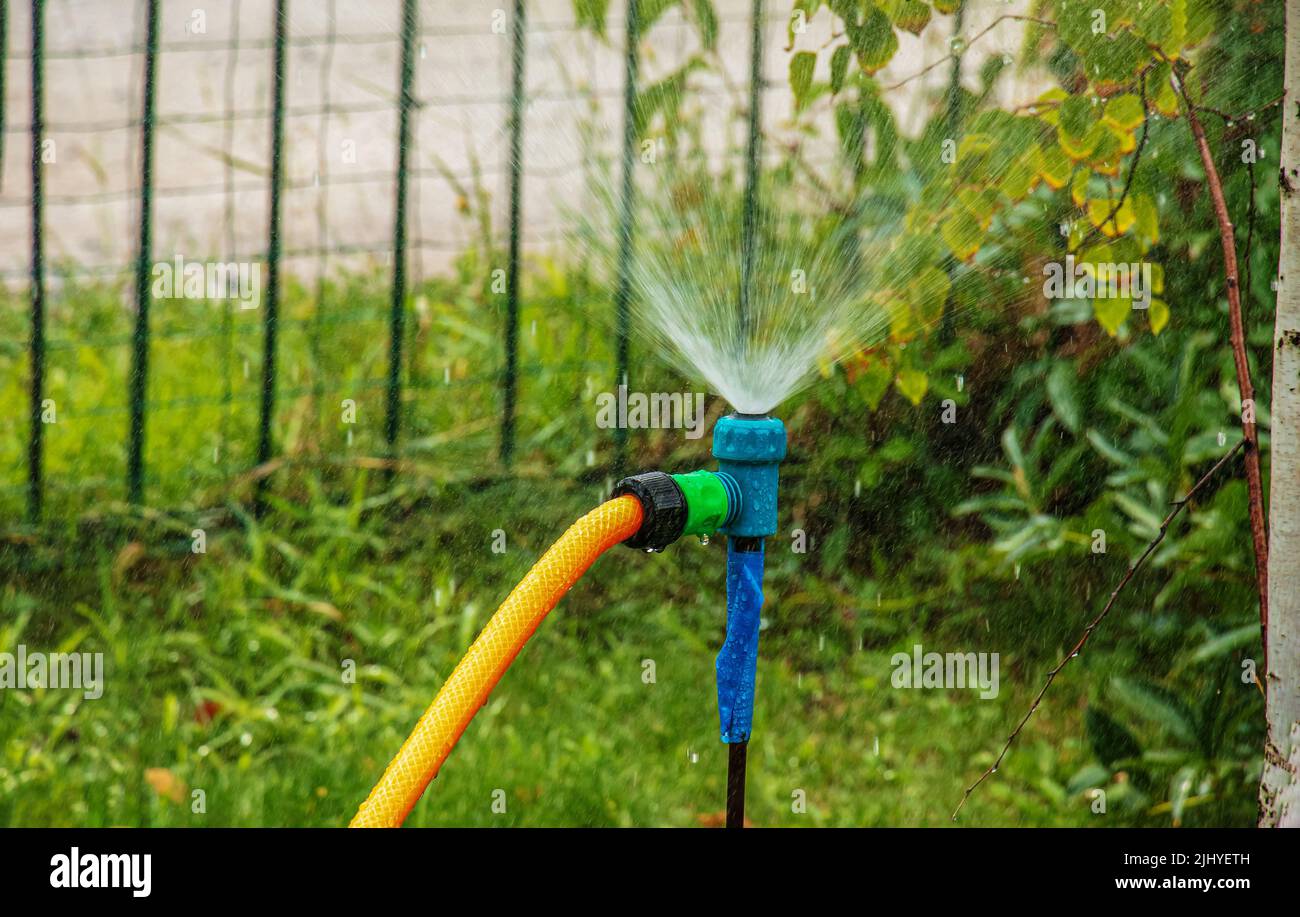 Automatic sprinkler system watering the lawn on a bakround of green ...