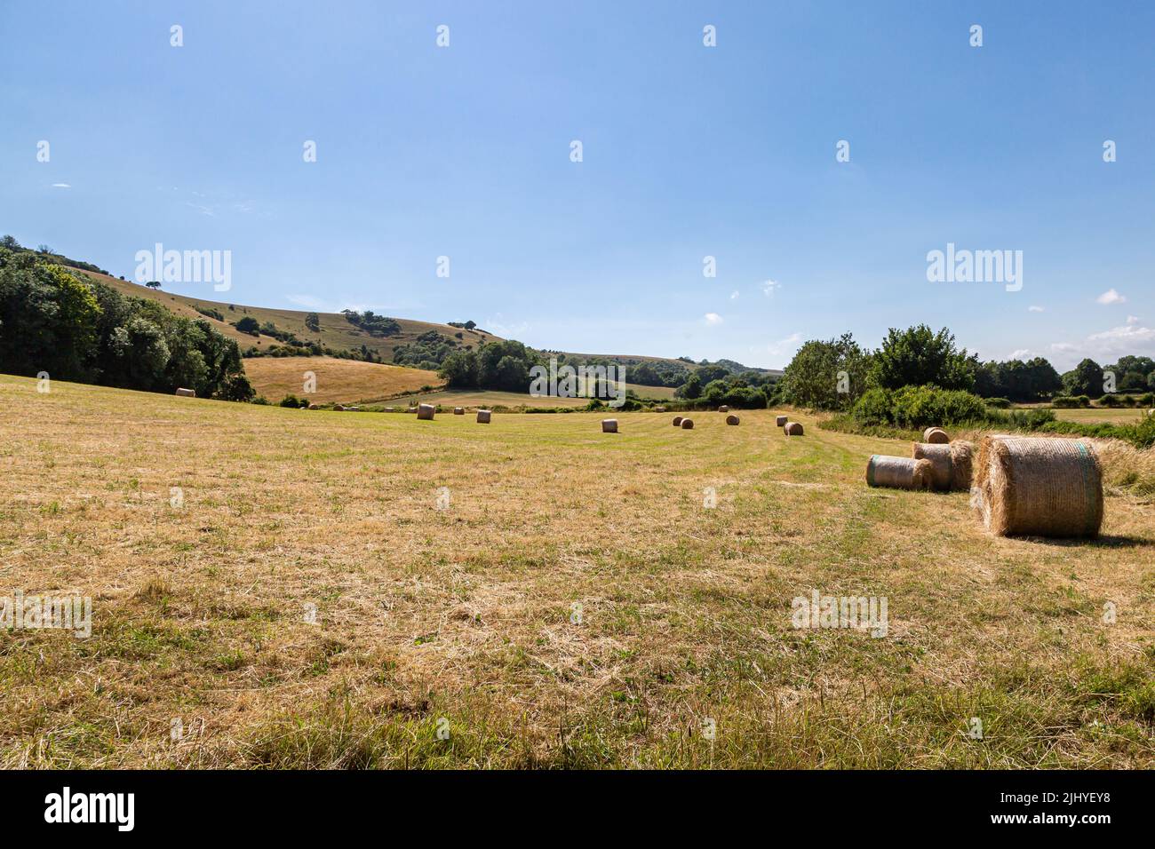 Hay Bales in the Sussex Countryside on a Sunny Summer's Day Stock Photo ...