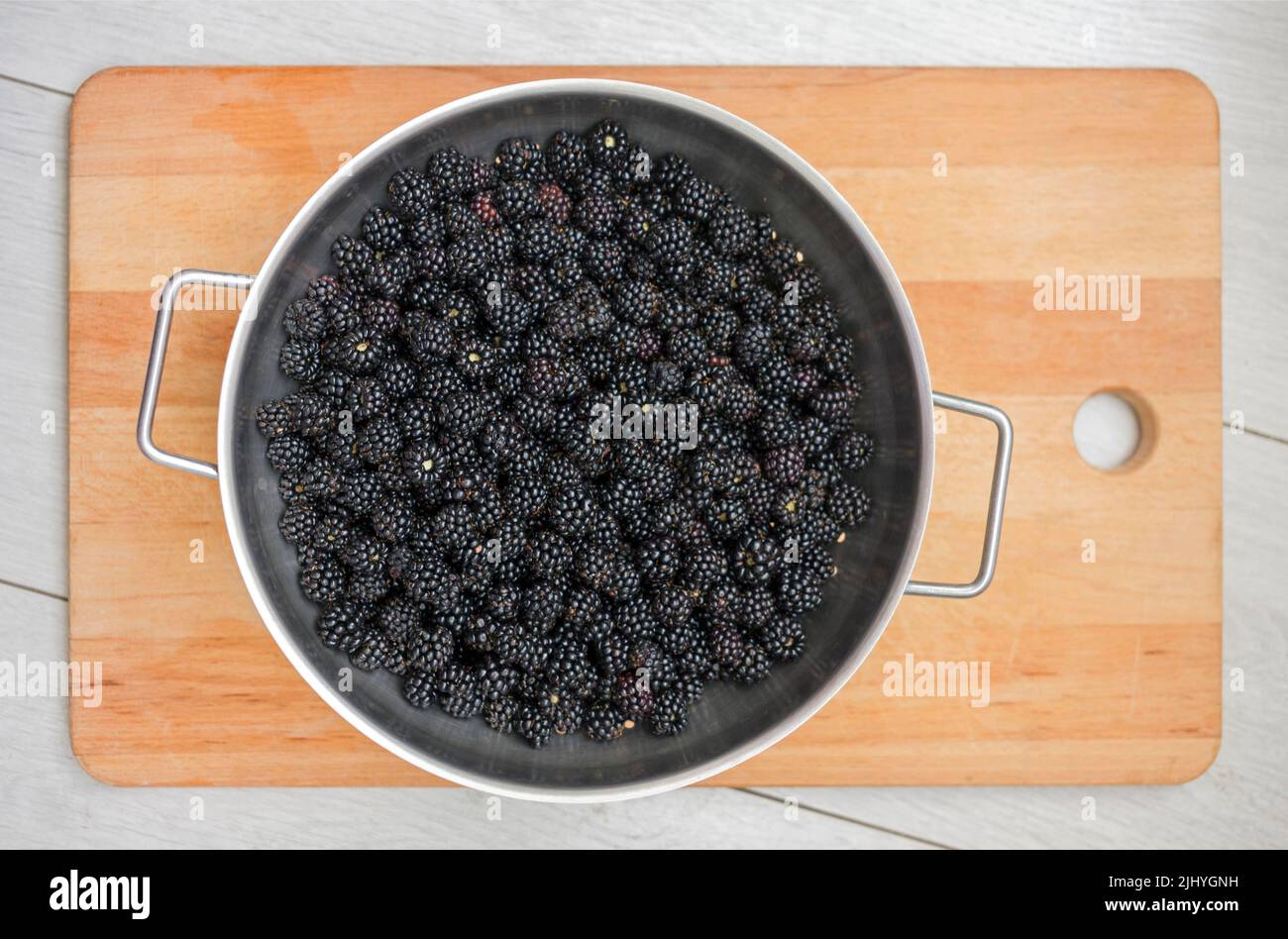 Harvest of wild blackberries in summer to make jams. Montpellier, Occitanie, France Stock Photo