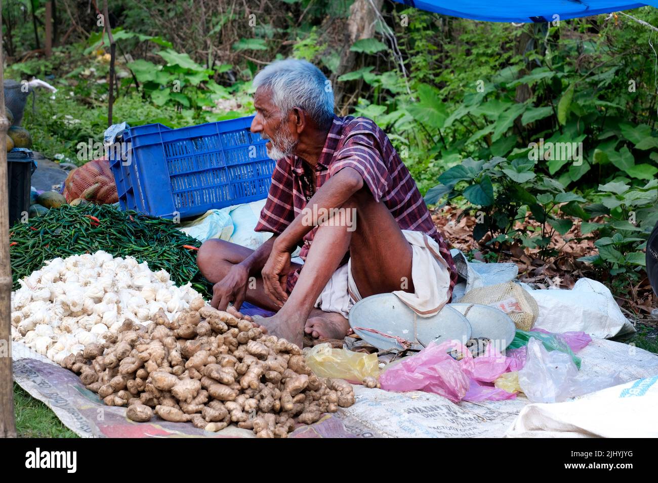 Indian rural old man sitting hi-res stock photography and images - Alamy