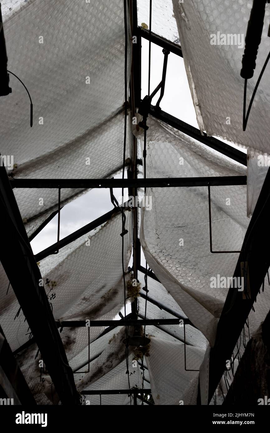 View into a abandoned greenhouse with bubble wrap hanging down from