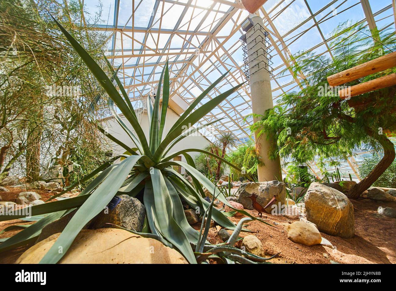 Desert plants in greenhouse with glass roof Stock Photo Alamy