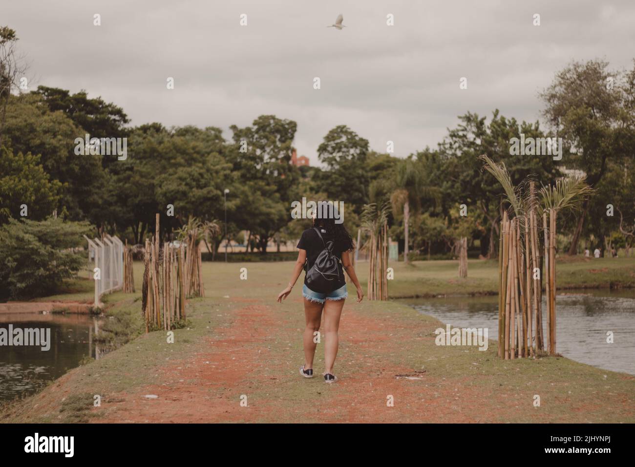 Teen girl walking rear view hi-res stock photography and images - Alamy