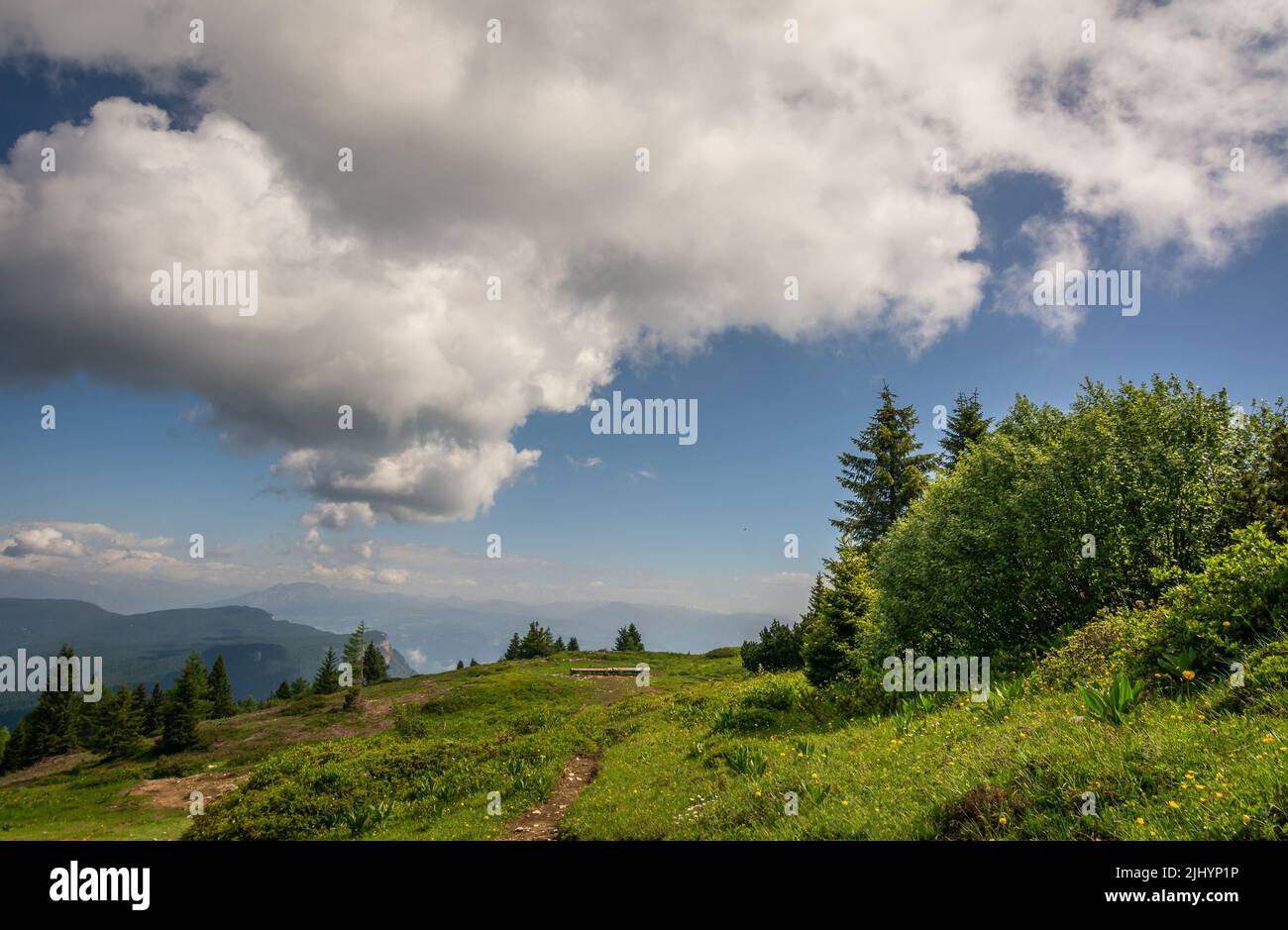 Mount Roen (2,116 m a.s.l.) on the border between South Tyrol and the ...