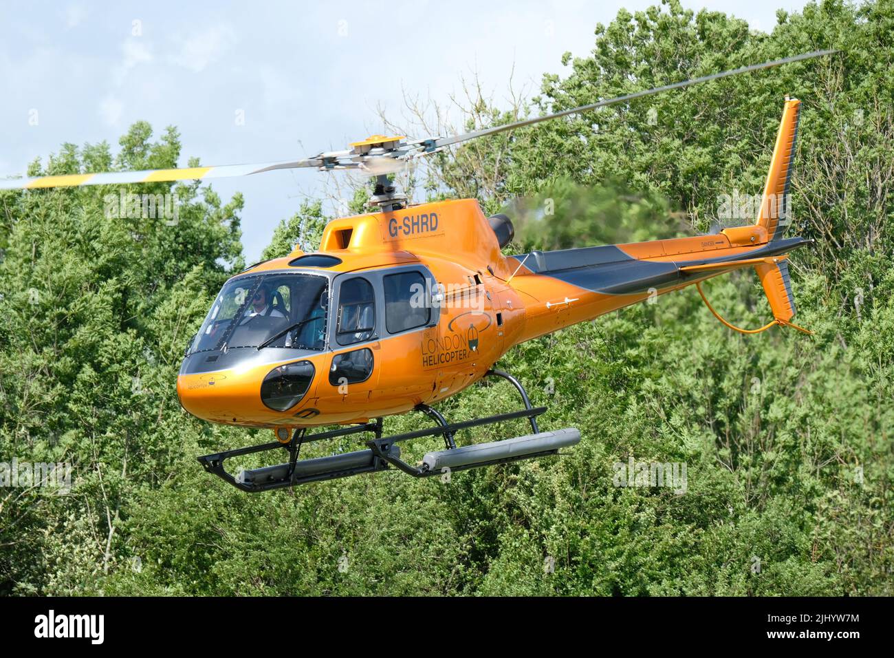 Eurocopter AS 350 Squrrel helicopter taking off operated by London Helicopters registration G-SHRD Stock Photo
