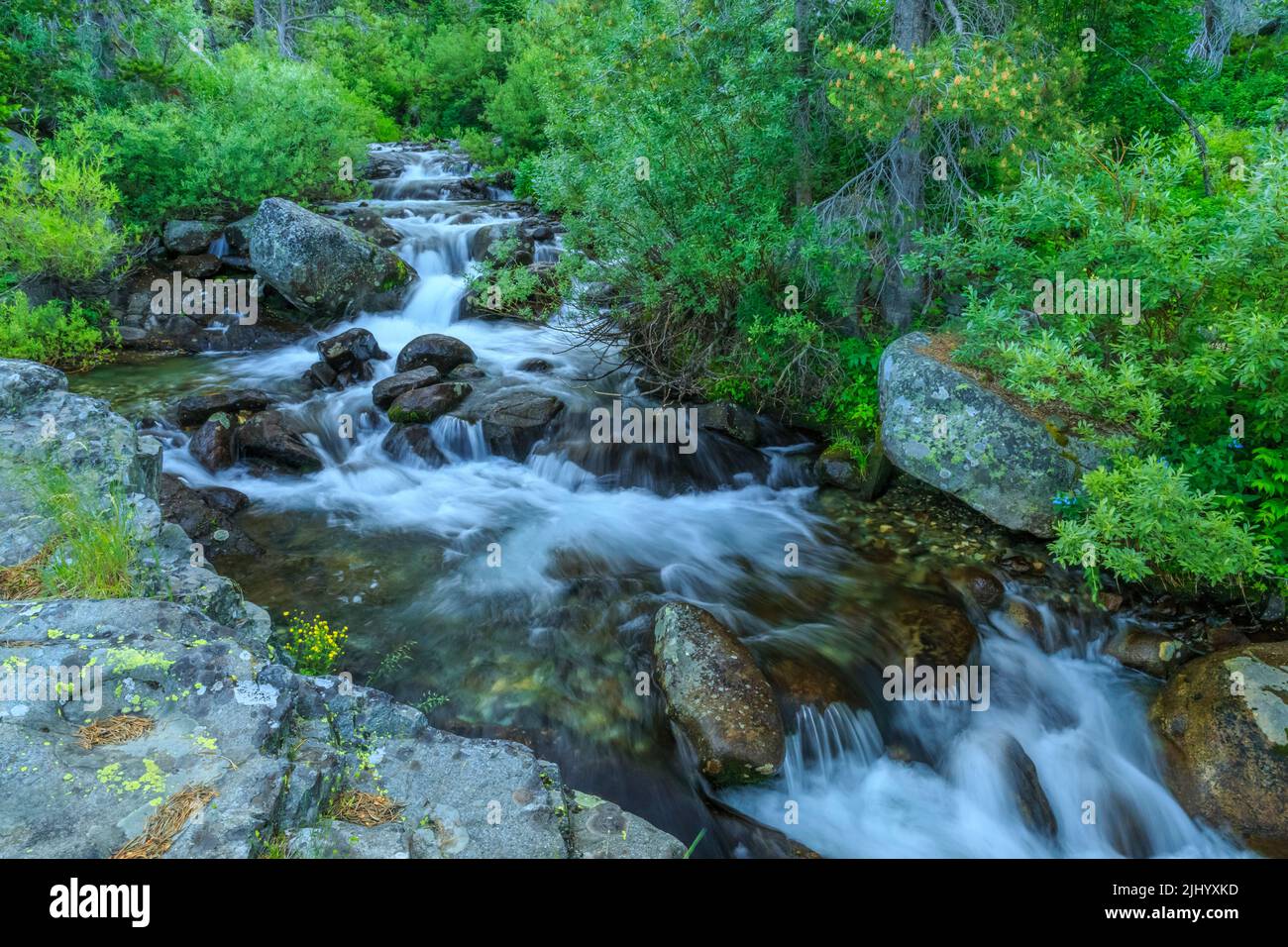 cascades on cottonwood creek in the crazy mountains near clyde park, montana Stock Photo