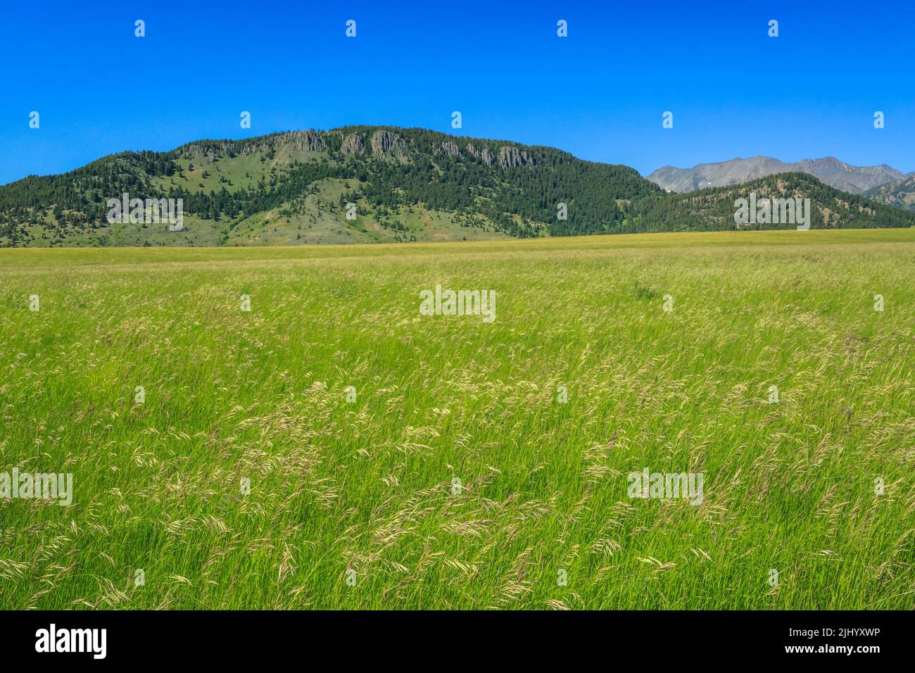 ibex mountain in the crazy mountains above a hay field on the cottonwood bench near clyde park, montana Stock Photo
