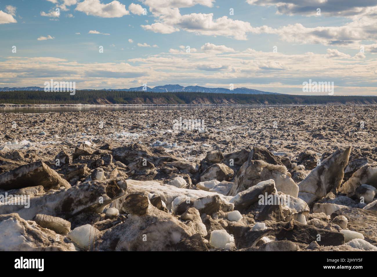 View of Great Bear River with chunks of ice melting at break up in Spring, Tulita, Northwest Territories, Canada. Stock Photo