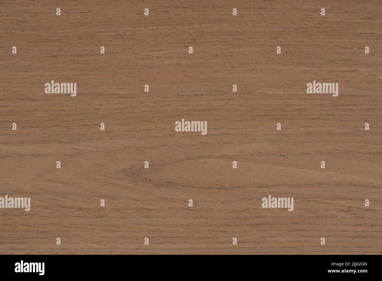 Walnut 7 wood panel texture pattern Stock Photo