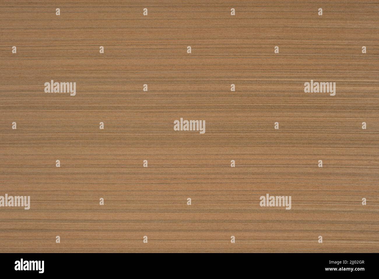 Teak 2 wood panel texture pattern Stock Photo