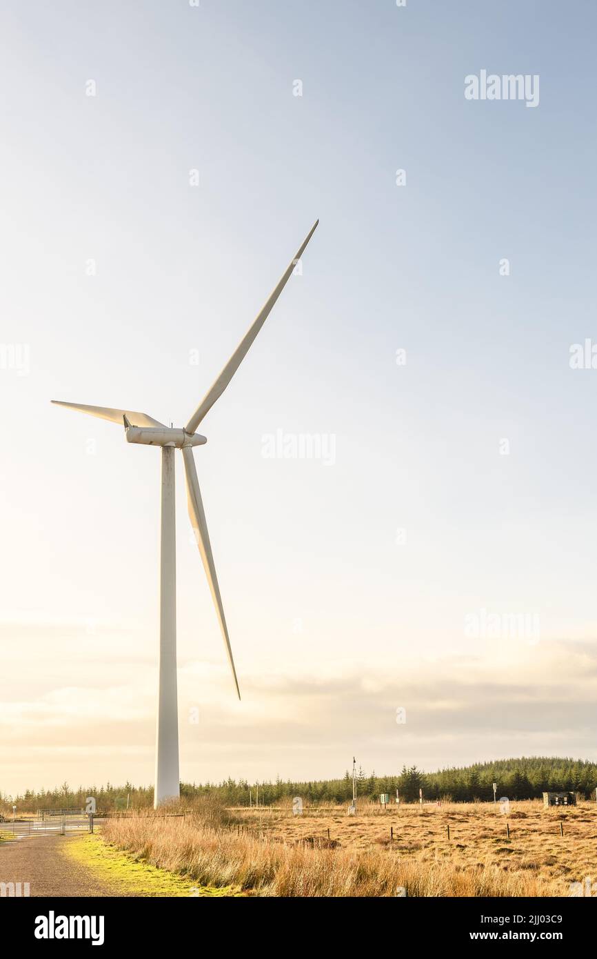 The wind turbines spinning at a wind farm against light sunset sky