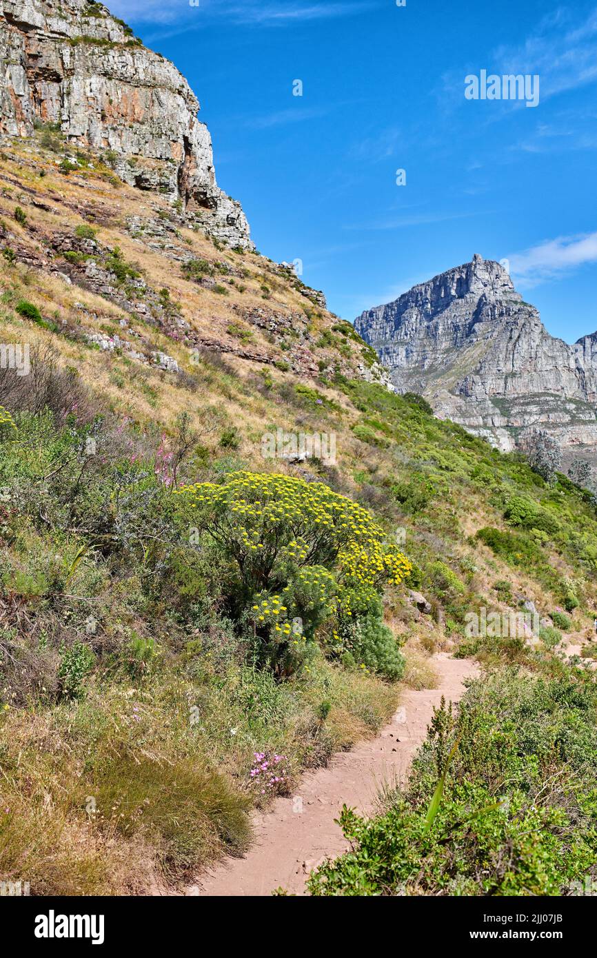 Scenic hiking trail along Table Mountain in Cape Town, South Africa