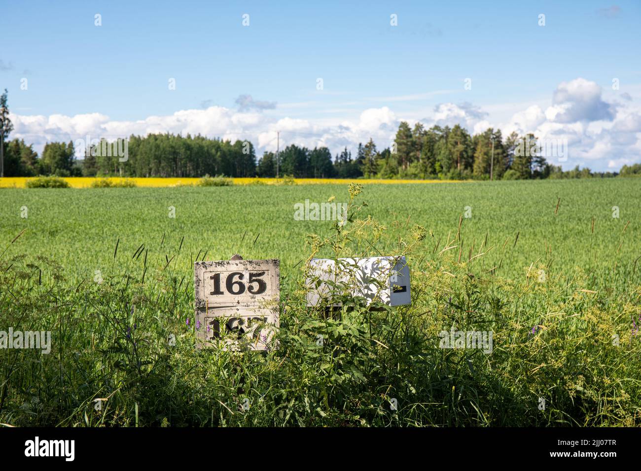House numbers and mail box by oat field in rural Orivesi, Finland Stock Photo