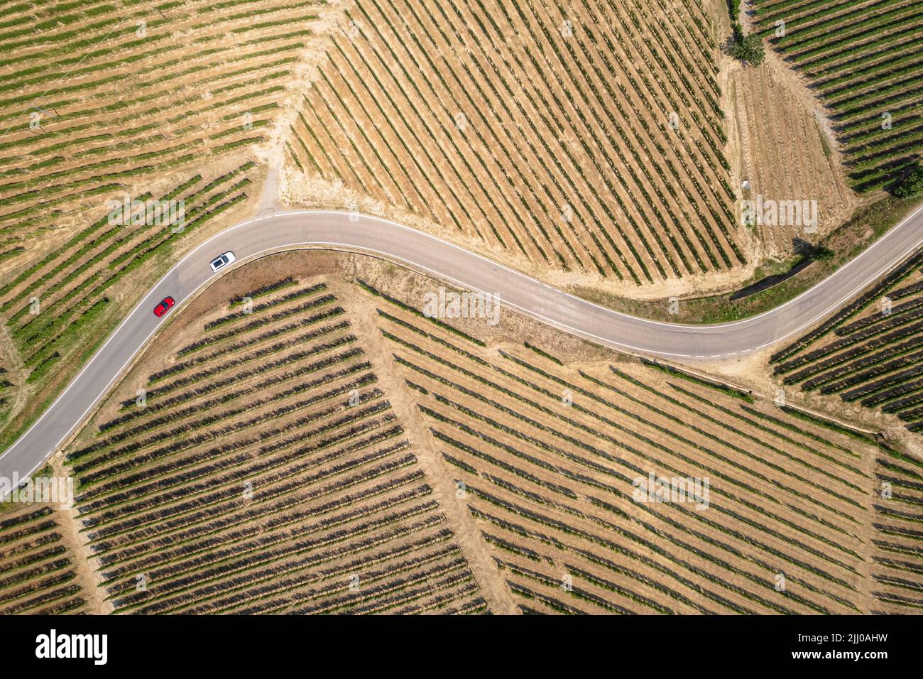 Aerial overview of the Romantic Road of the Langhe and Roero among endless landscapes of vineyards. Piedmont Italy Stock Photo