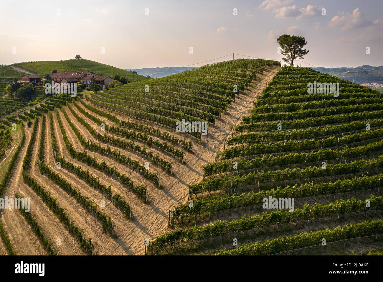 Beautiful hills and vineyards surrounding La Morra village in the Langhe region. Cuneo, Piedmont, Italy Stock Photo