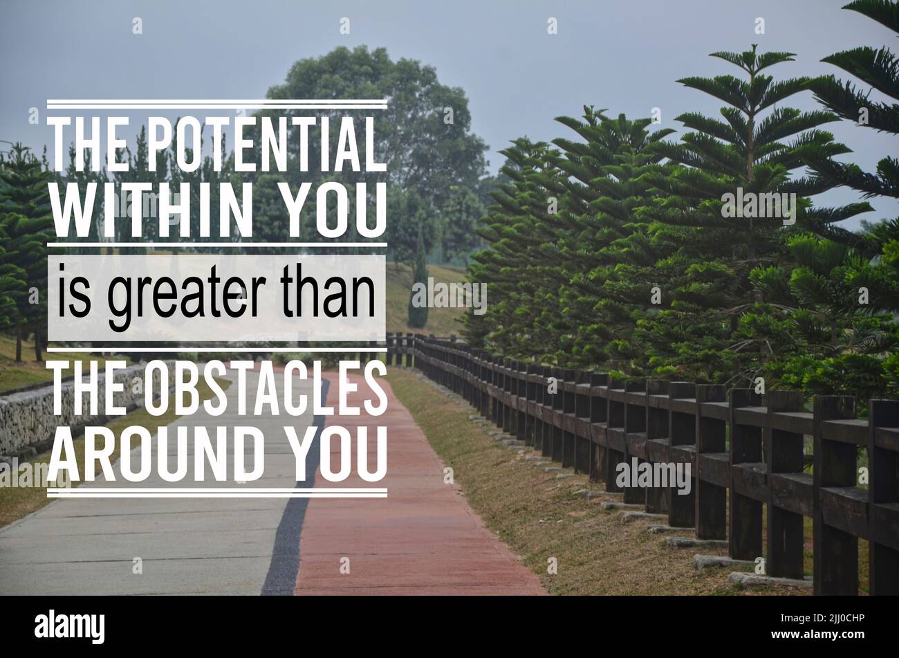 Inspirational and motivational quote. Phrase THE POTENTIAL WITHIN YOU