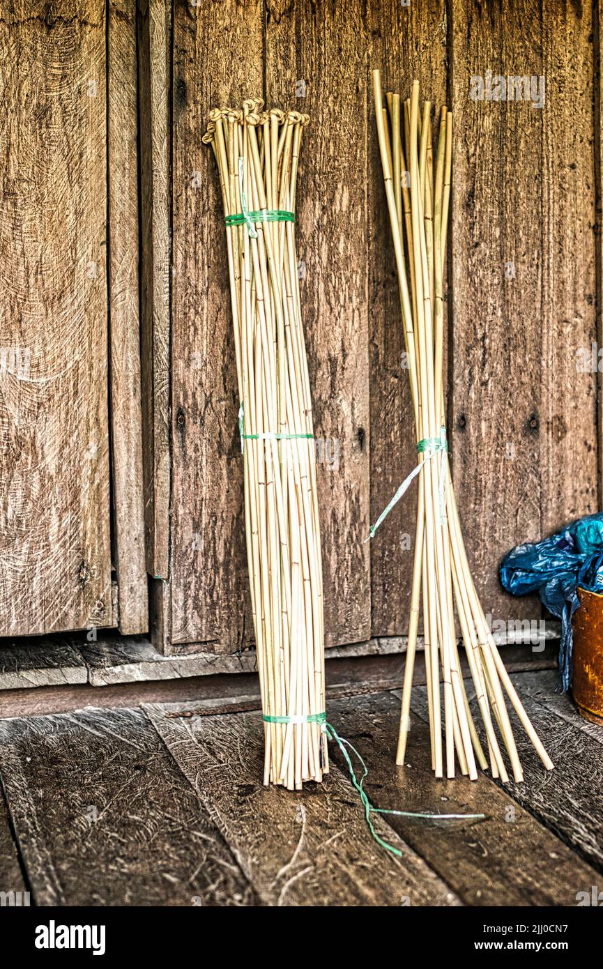 A bunch of processed rattan ready to be sold. Rattan is used for making