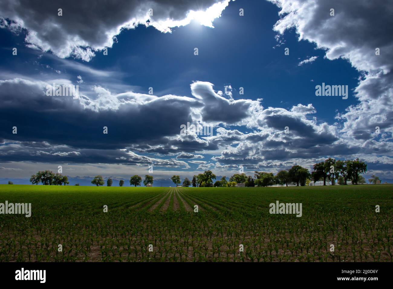 Patterns in agriculture Stock Photo
