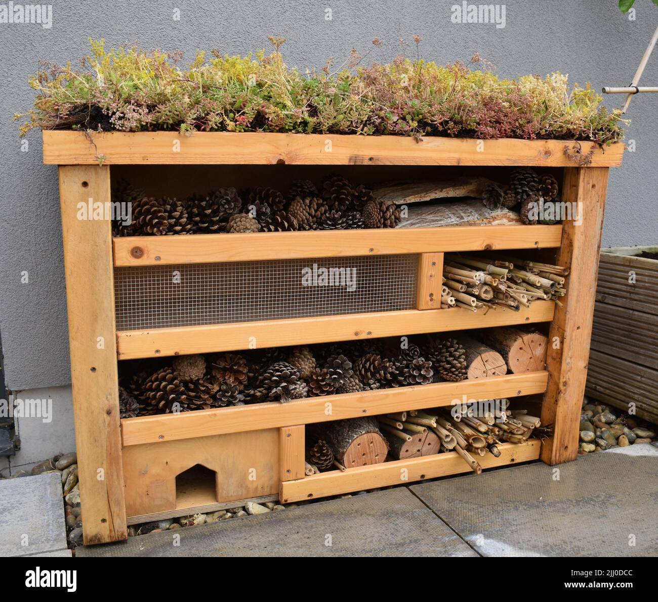An insect hotel with a living roof located in a roof garden in Milton Keynes. Stock Photo