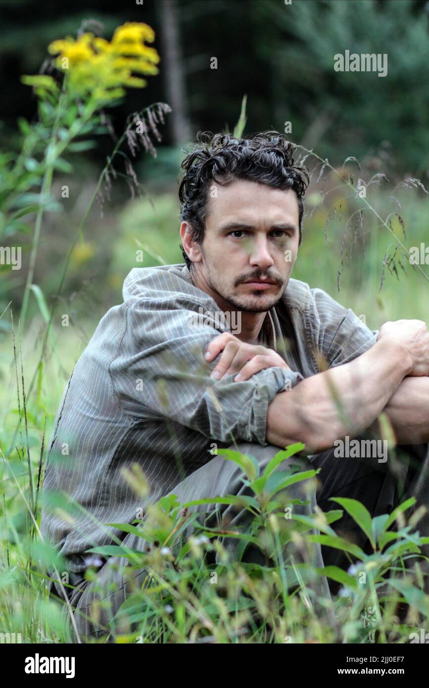 JAMES FRANCO, AS I LAY DYING, 2013 Stock Photo