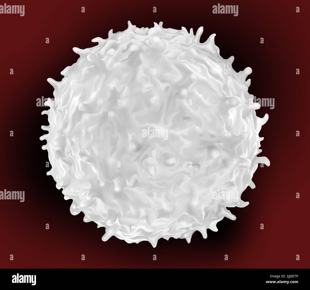 white blood cells found throughout the body in the blood and lymphatic system Stock Photo