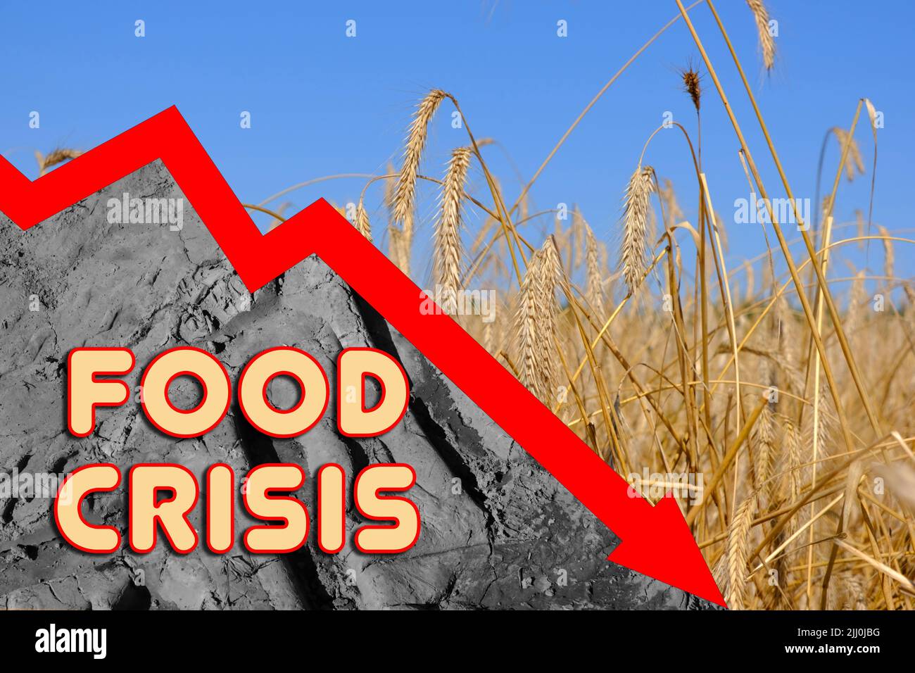 Food crisis. World problems with the supply of wheat, a chart of falling levels. Lack of flour and bread. Concept of world deficit. . Stock Photo