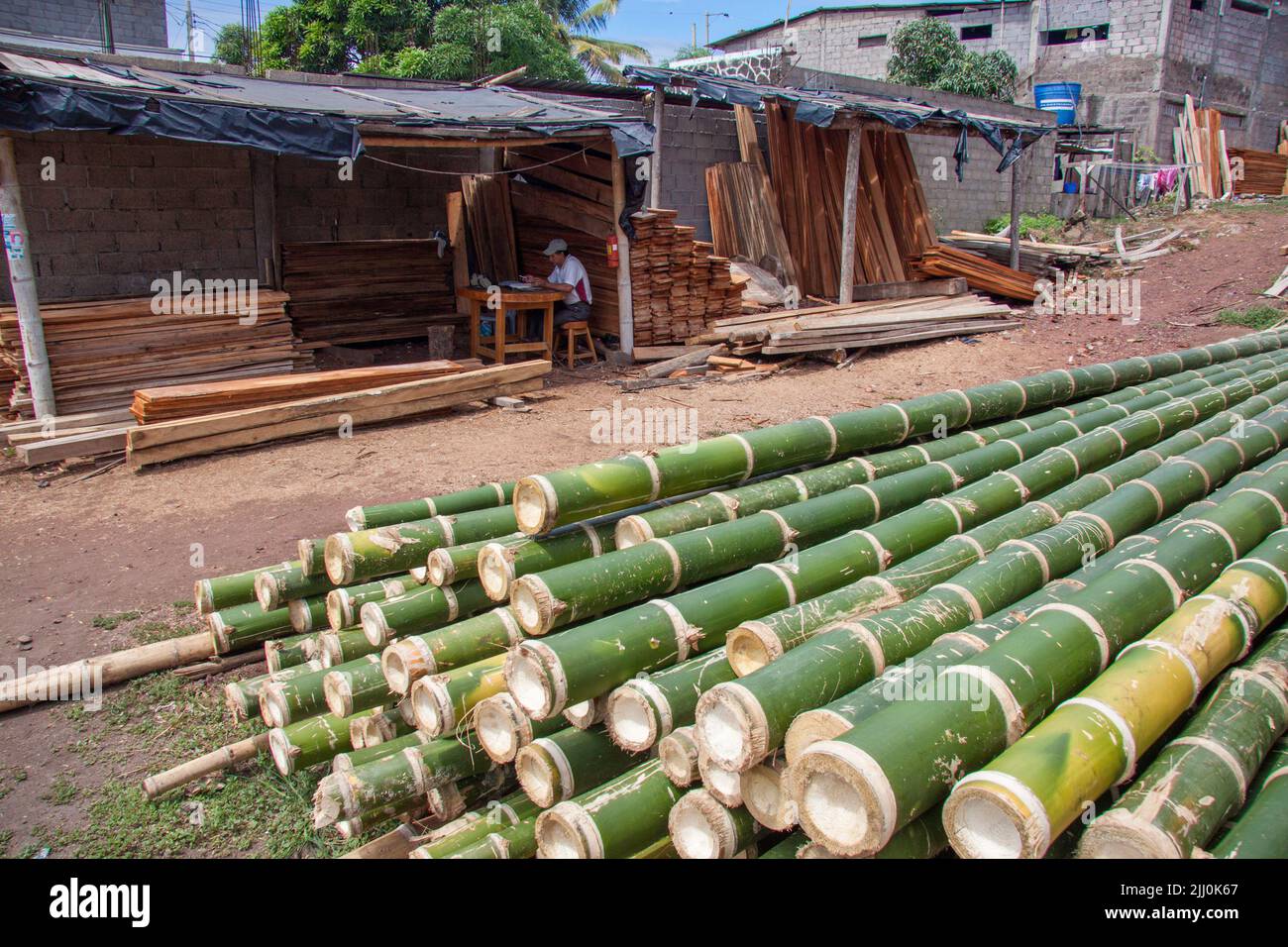 Cut bamboo for sale as a building material in the town of Puerto Ayora on the island of Santa Cruz, Galapagos, Equador. Stock Photo