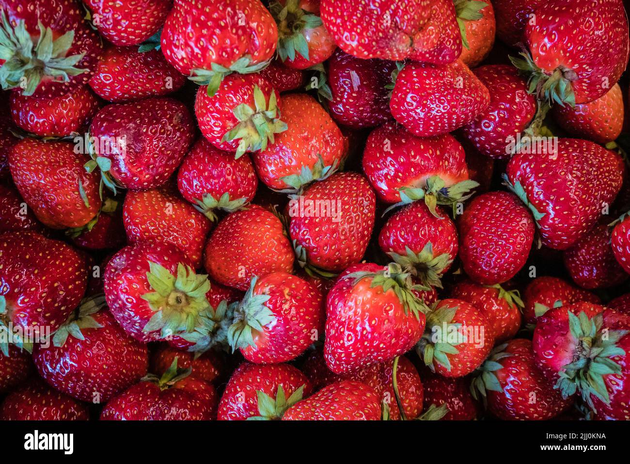 local organic red strawberries Stock Photo