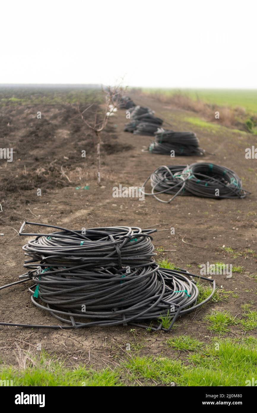 agricultural underground irrigation tubing coil in field Stock Photo