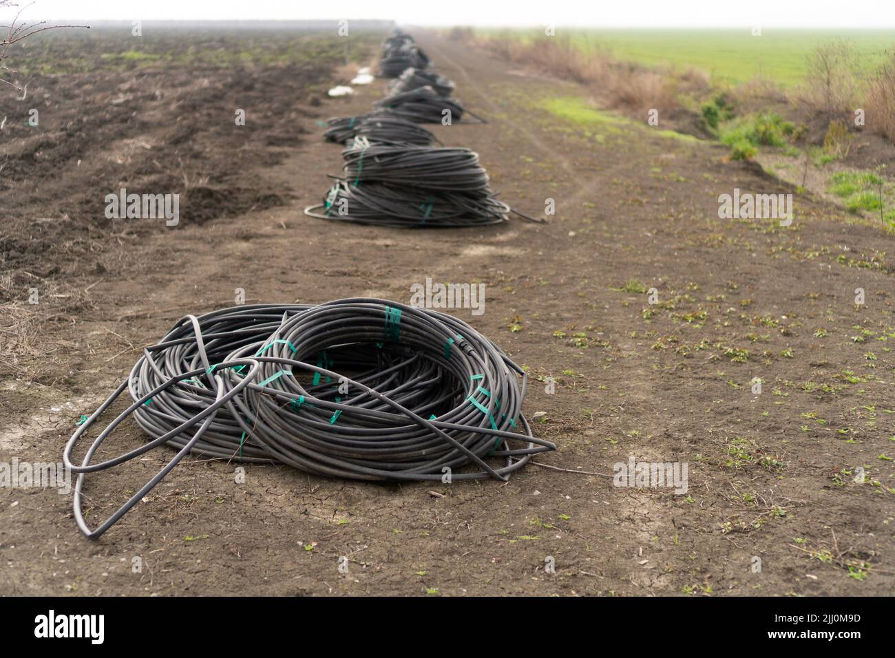 agricultural underground irrigation tubing coil in field Stock Photo