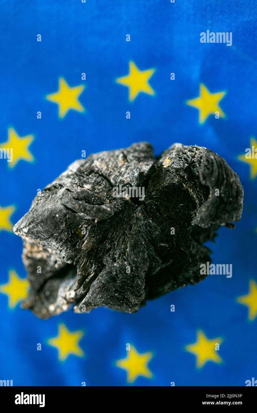Charcoal on the EU flag. Buying and selling coal in the countries of