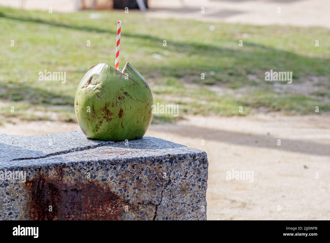 green coconut with a red and white straw on a beach in Rio de Janeiro. Stock Photo